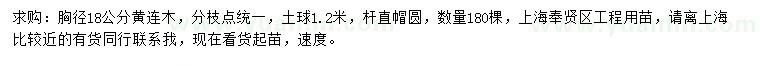 求購胸徑18公分黃連木