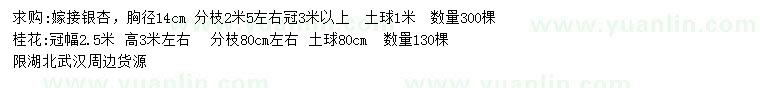 求購胸徑14公分銀杏、冠幅2.5米桂花