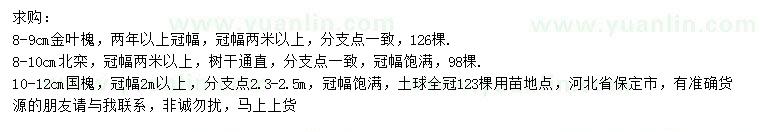 求購(gòu)金葉槐、北欒、國(guó)槐
