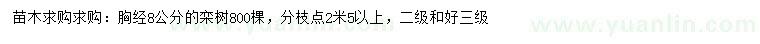 求購(gòu)胸徑8公分欒樹(shù)