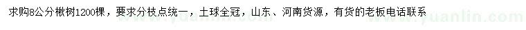 求購8公分楸樹