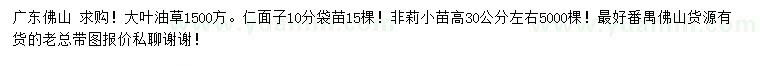 求購大葉油草、仁面子、非莉小苗