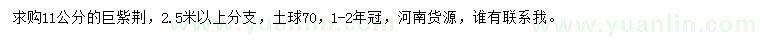 求購11公分巨紫荊