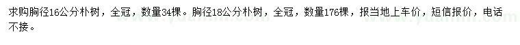 求購胸徑16、18公分樸樹