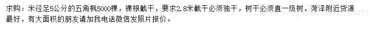 求購米徑足5公分五角楓