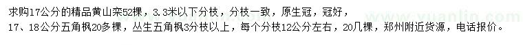 求購黃山欒、五角楓、叢生五角楓