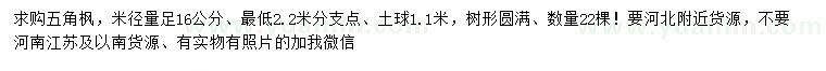 求購米徑量16公分五角楓