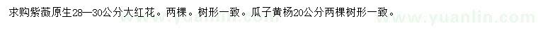 求購28-30公分大紅花紫薇、20公分瓜子黃楊