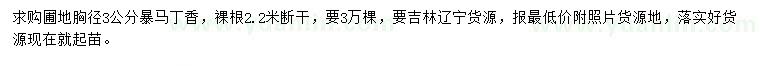 求購胸徑3公分暴馬丁香