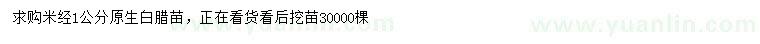 求購米徑1公分原生白臘苗