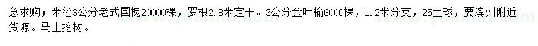 求購(gòu)米徑3公分老式國(guó)槐、金葉榆