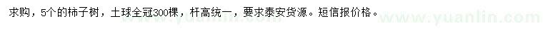 求購5公分柿子樹