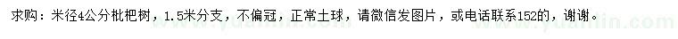 求購米徑4公分枇杷樹