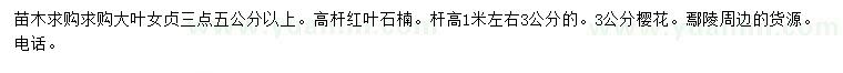 求購(gòu)大葉女貞、高桿紅葉石楠、櫻花
