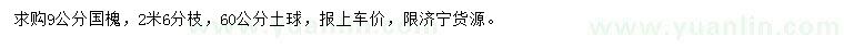 求購9公分國槐