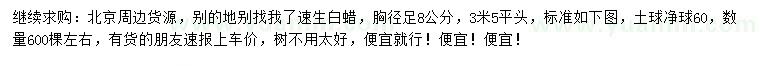 求購(gòu)胸徑足8公分速生白蠟