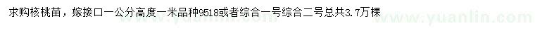 求購(gòu)高1米核桃苗