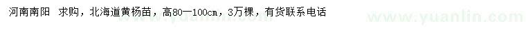 求購(gòu)高80-100公分北海道黃楊苗