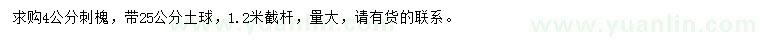 求購4公分刺槐