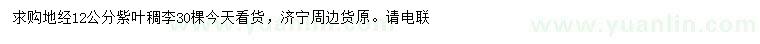 求購地徑12公分紫葉稠李