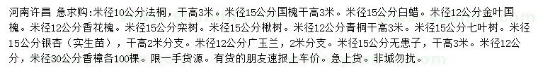 求購法桐、國槐、白蠟等