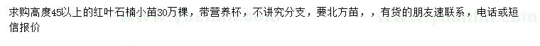 求購(gòu)高45公分以上紅葉石楠小苗