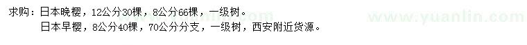 求購8、12公分日本晚櫻、8公分日本早櫻