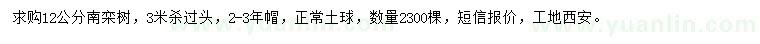 求購12公分南欒