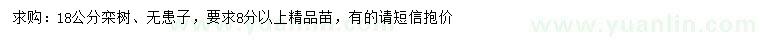求購18公分欒樹、無患子