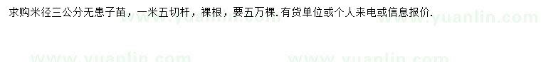 求購(gòu)米徑3公分無(wú)患子苗