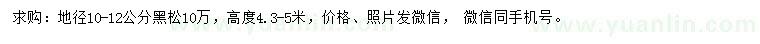 求購地徑10-12公分黑松