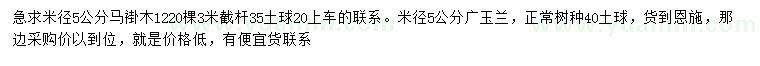 求購米徑5公分馬褂木、廣玉蘭