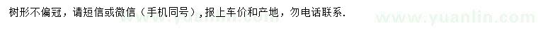 求購(gòu)米徑10公分柳杉