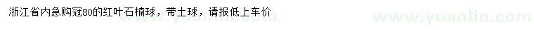 求購(gòu)冠幅80公分紅葉石楠球