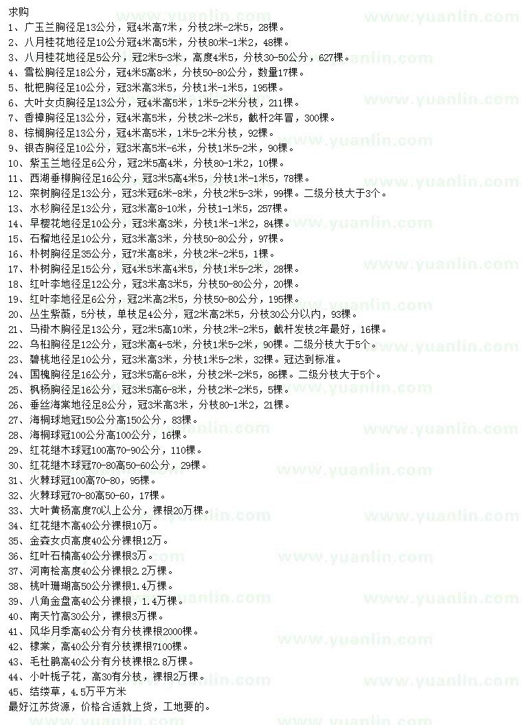 求購廣玉蘭、八月桂、雪松等