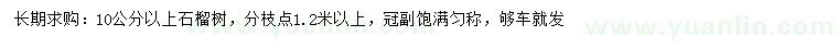求購10公分以上石榴樹