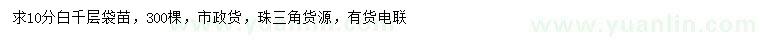 求購10公分白千層袋苗