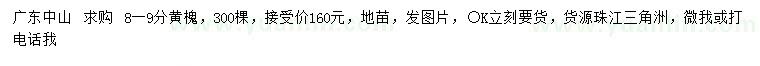 求購8-9公分黃槐
