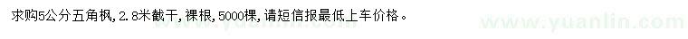 求購5公分五角楓