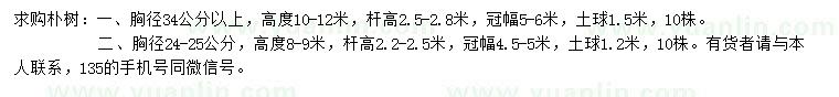 求購高8-9、10-12米樸樹