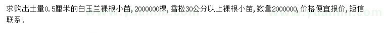 求購0.5公分白玉蘭小苗、30公分以上雪松