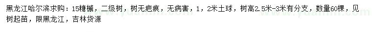 求購15公分糖槭