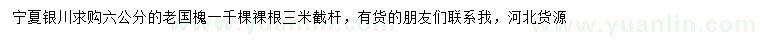 求購6公分老國槐