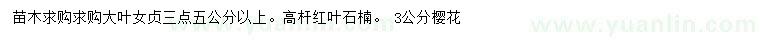 求購大葉女貞、高桿紅葉石楠、 櫻花