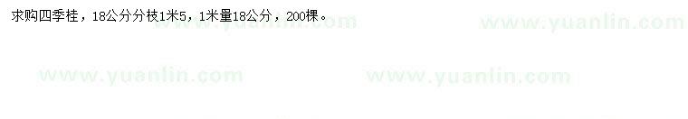 求購1米量18公分四季桂