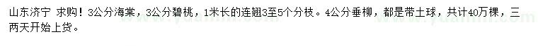 求購海棠、碧桃、連翹等