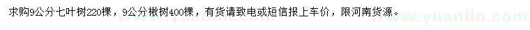 求購9公分七葉樹、楸樹