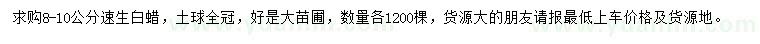 求購8-10公分速生白蠟