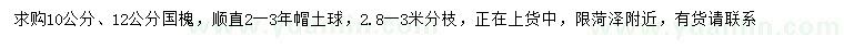 求購(gòu)10、12公分國(guó)槐