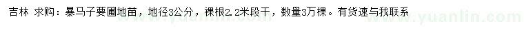 求購地徑3公分暴馬子